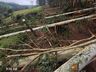 Temporal provoca destelhamentos em cerca de 100 casas em São Miguel do Oeste, diz Defesa Civil