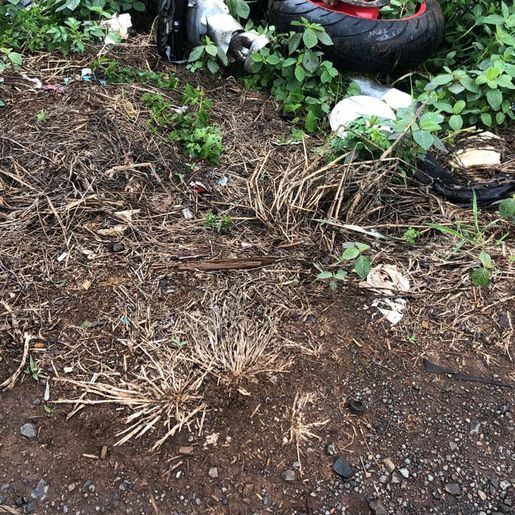 Homem morre em queda de moto na SC-135