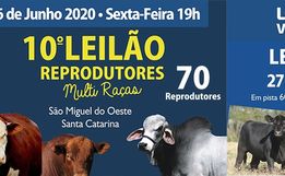 Associação organiza eventos online no final de semana em SMOeste 