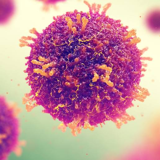 Suspeita de sarampo é registrada em criança de Palma Sola