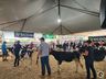 Avaliação de bezerras e novilhas é realizada na 11ª Efrait de Itapiranga