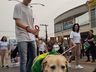 Grande público prestigia Desfile de Sete de Setembro em Iporã do Oeste