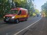 Após ser picado por abelha, motorista perde controle do carro e causa acidente na SC 163