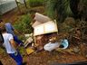 Urbanismo solicita que móveis em desuso sejam descartados no Ecoponto