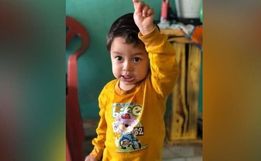 Menino de 2 anos é picado por animal e morre em Santa Catarina