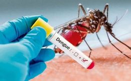 Sobe para 90 o número de casos de dengue em São Miguel