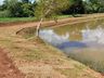 Lago municipal está sendo revitalizado em São José do Cedro
