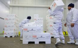 Sine Santa Catarina oferece mais de 8 mil vagas de emprego em todo o estado