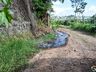 VÍDEO: Morador reclama de esgoto a céu aberto e prefeitura vai resolver o problema