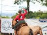 São Miguel Tchê movimenta parque de exposições; confira fotos