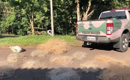 PMA apreende materiais e autua infrator 