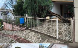 Árvore de grande porte cai sobre casa e carro após chuvas em São Lourenço do Oeste
