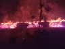 Incêndio florestal mobiliza Corpo de Bombeiros por quatro horas 