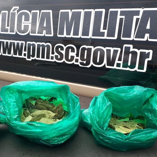 Folhas de Coca são apreendidas em São Miguel do Oeste