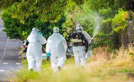Dengue em SC passou de caso raro para epidemia e emergência em saúde em uma década