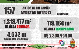 Área desmatada na região Extremo Oeste é muito superior a área recuperada nos últimos anos