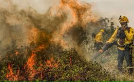 Brasil teve ao menos 1,9 mil focos de incêndio por dia em agosto