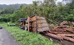 Mulher morre após caminhão carregado de madeira tombar