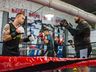 CT Balke Team realizará em junho a Copa Oeste Open Boxe