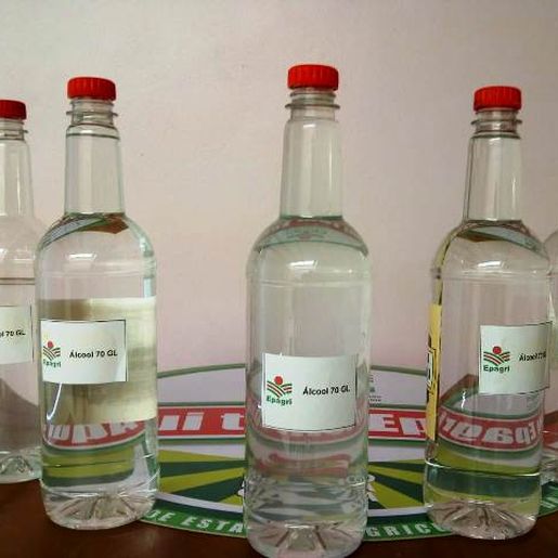 Produtores de São Miguel do Oeste transformam cachaça em álcool 70°