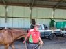 Cavalgada da Integração passa por São José do Cedro