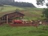 Meteorologista afirma que "tempestade convectiva" provocou estragos no interior de Itapiranga