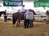 Equoterapia com alunos da APAE de Itapiranga integra programação da Efrait