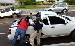 PRF apreende 600 kg de carne transportada sem refrigeração e sem condições de consumo
