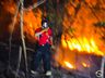 Morador reclama de queimadas constantes em área de reflorestamento de SMOeste 