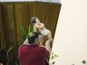 Fiéis lotam Igreja Matriz em celebração de véspera de Natal
