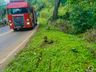Motociclista sofre ferimentos em queda na ITG 070, em Itapiranga