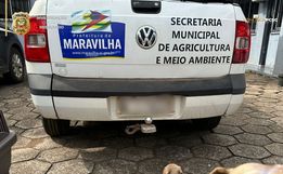 Homem é preso por maus-tratos a animais em Maravilha  