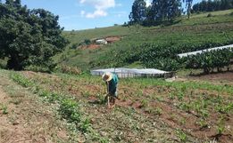 Sindicato incentiva agricultores a aderirem ao Crédito Fundiário