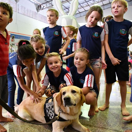 Fundo da Infância e Adolescência arrecadou quase R$40 mil com doação do Imposto de Renda