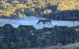 Frio de 4°C na Serra de SC 'congela' campos e forma geada