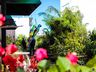 Central Flor, Floricultura e Paisagismo comemora 1 ano em São Miguel do Oeste