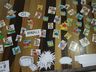 Educadores da Rede Municipal de Ensino de SJCedro participam de capacitações