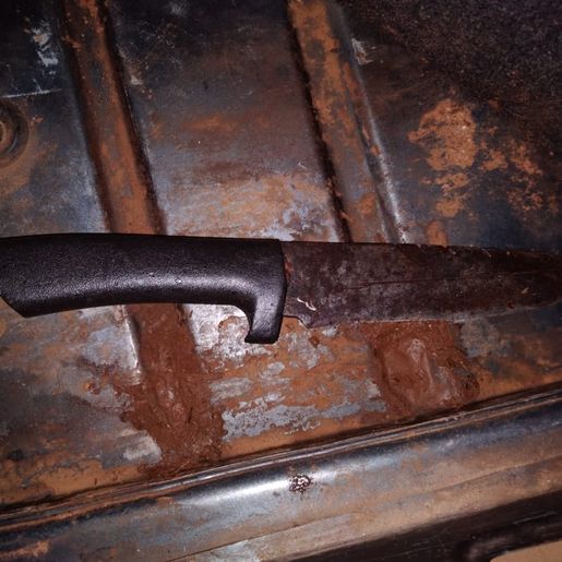 Polícia prende suspeito de furto de gado em Tunápolis