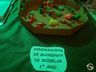 Feira pedagógica demonstra aprendizado de alunos em Mondaí