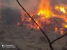 Bombeiros combatem incêndio em área de reflorestamento por 14 horas