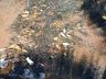 Vídeo: Após mortes de peixes, morador denúncia poluição em riacho de SMOeste
