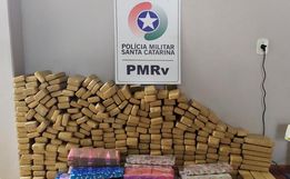  Mais de 230 quilos de maconha são apreendidos pelas Polícias Estadual e Federal 