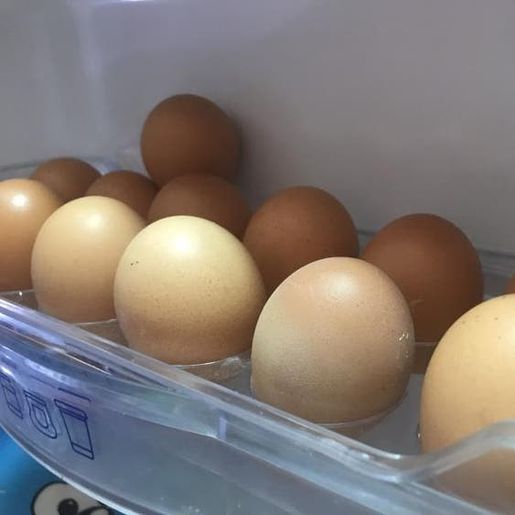 Preços dos ovos aumentam quase 40% em SC segundo Cepa/Epagri