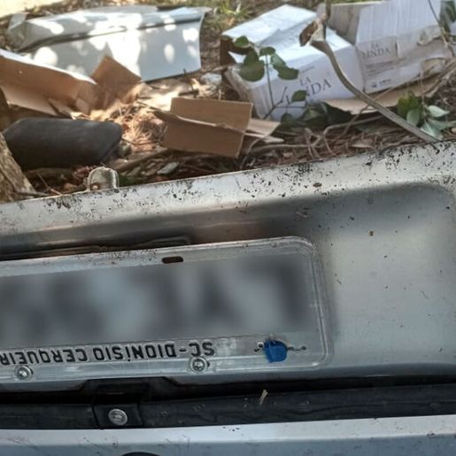 Motorista colide veículo em árvore após tentar fugir de abordagem policial