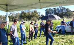 Dia de campo reúne cerca de 30 agricultores em Bandeirante