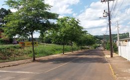 Tunápolis dá continuidade ao plano de arborização com plantio de árvores na cidade