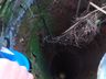 Cão desaparecido é encontrado em poço de 15 metros 
