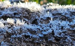 Serra catarinense amanhece com geada e temperaturas próximas de 0°C