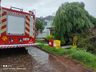 Árvore cai sobre residência em São Miguel do Oeste