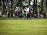 Guarani vence Aliança de Paraíso neste domingo; assista a live